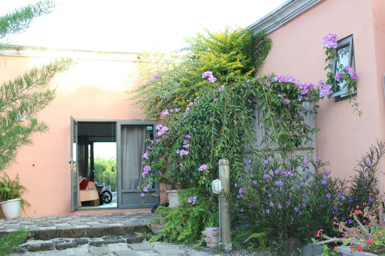 Gite Des Acacias Union Vale Exterior photo